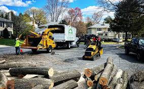 Seasonal Cleanup (Spring/Fall) in Elma Center, NY